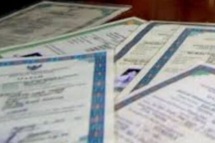 ijazah