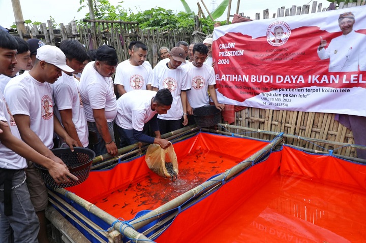 Pemuda Mahasiswa Nusantara (PMN) Jawa Barat (Jabar) menggelar pelatihan budidaya ikan lele di Kampung Cipendeuy, Desa Tarajusari, Kabupaten Bandung, Jawa Barat, Rabu (10/5) siang. Foto: PMN