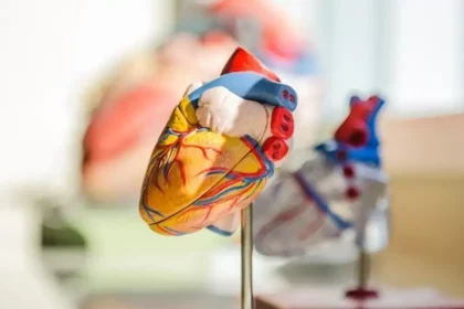 3D bioprinting organ jantung.