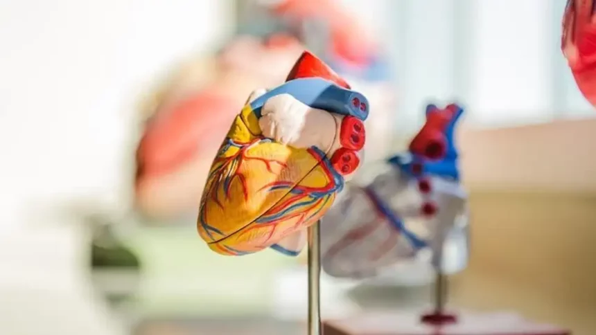3D bioprinting organ jantung.