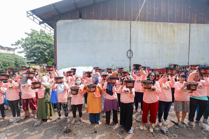 Emak-emak pendukung Ganjar Pranowo mengajak warga Penjaringan, Jakarta Utara untuk kompak menanam ratusan bibit pohon cabai bersama-sama pada Kamis (25/5) pagi. Foto: Mak
