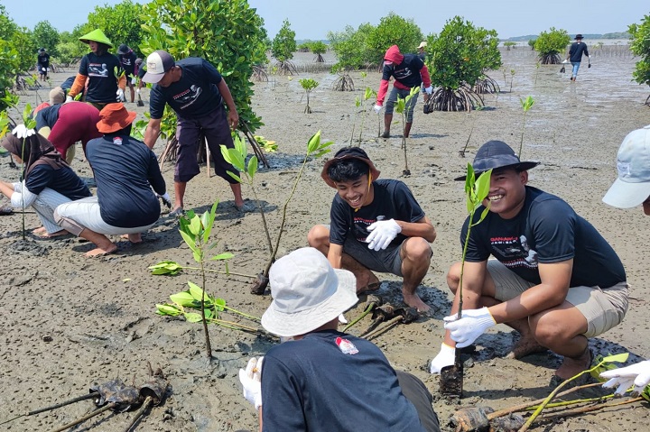 Jaga kelestarian Pantai Tiris, Desa Pabean Ilir, Kecamatan Pasekan, Kabupaten Indramayu, Jawa Barat. Warga setempat bersama Ganjar Muda Padjadjaran (GMP) Sabuk Hijau menanam sebanyak 1.000 bibit mangrove, Selasa (9/5). Foto: GMP