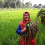 nissa-wargadipura pesantren ekologi