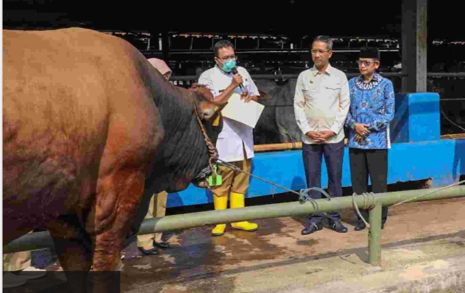 Pj Gubernur, Heru Budi Hartono saat melakukan pengecekan hewan kurban.(foto dok PPID)