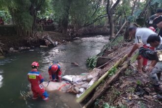 Sejumlah petugas Damkar Sektor Kramat Jati melakukan evakuasi seekor sapi untuk kurban yang tercebur ke Kali Cipinang di Jl. Penggilingan Baru 1, RT 011/04, No. 5, Mutiara Pulo Dukuh, Kelurahan Dukuh, Kecamatan Kramat Jati, Jakarta Timur, Rabu (28/6) sekitar pukul 17.00 WIB. Foto: Joesvicar Iqbal/ipol.id