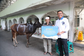 Dalam rangka merayakan hari raya Idul Adha 1444H, PNM menyalurkan hewan kurban di berbagai titik di seluruh Indonesia.