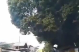 Aksi membantu ambulans berujung celaka, Foto : Tangkap Layar Tiktok @supir_idiot.