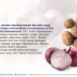 standar pala bawang merah codex internasional BSN