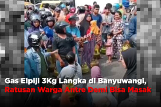 Gas Elpiji 3Kg Langka di Banyuwangi, Ratusan Warga Antri Demi Bisa Masak