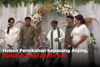 Heboh Pernikahan Sepasang Anjing, Habiskan Biaya Rp200 Juta