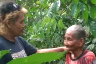Nenek usia 83 tahun dilaporkan ke Polisi dituduh mencuri 20 kelapa, Foto : Tangkap Layar Instagram @tangkap_layar