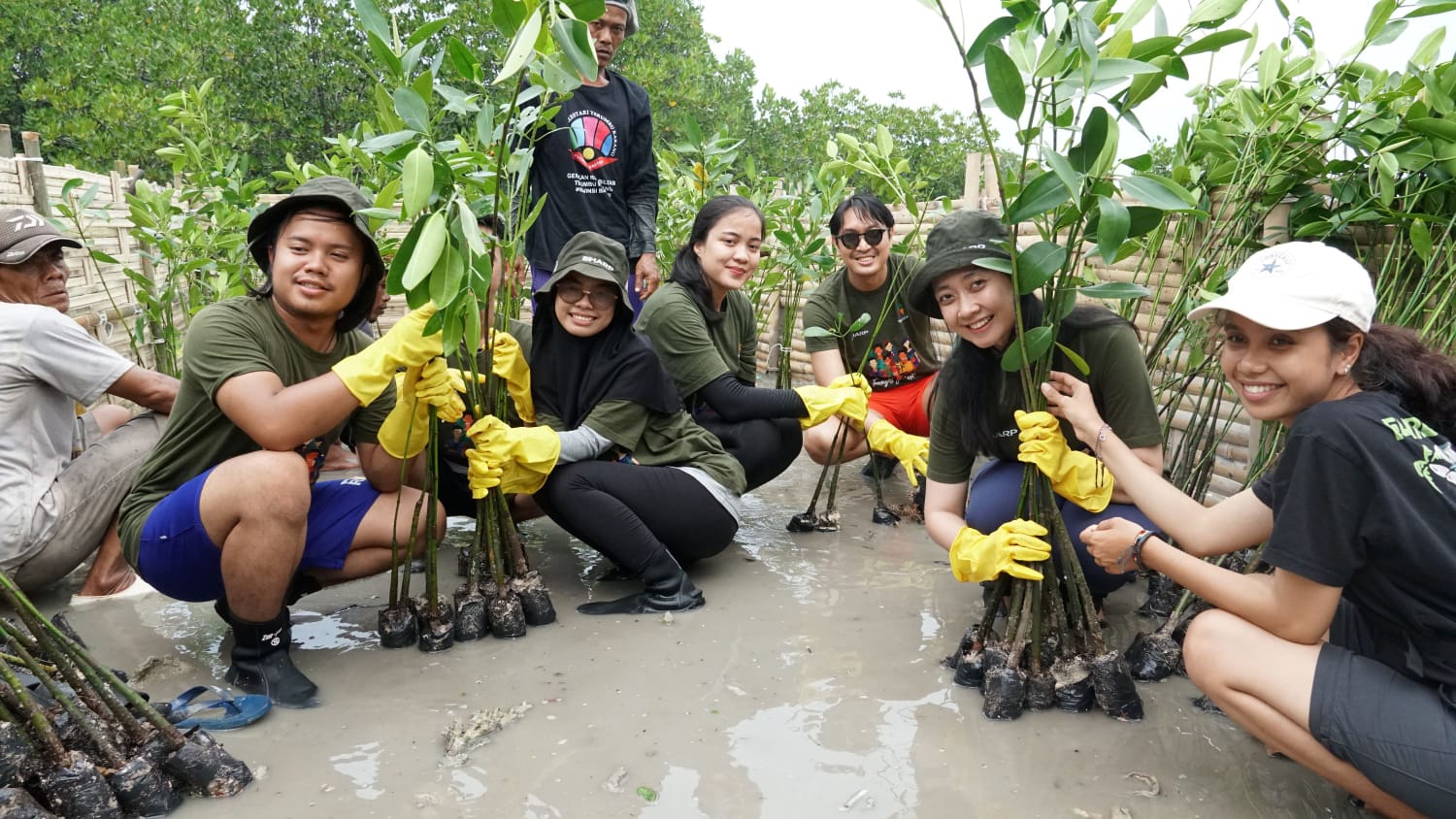 Perwakilan Sharp bersama komunitas Sharp Greenerator , perwakilan terangi dan penduduk desa wargarasa berfoto sesaat setelah penanaman mangrove di Pulau Tunda. Foto: Dok Sharp