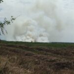 Lahan di Kabupaten Hulu Sungai Selatan, Provinsi Kalimantan Selatan pada Senin (17/7) kebakaran. Lokasi lahan terbakar berada di Desa Bajayu Barat, Kecamatan Daha Barat. Foto: Badan Nasional Penanggulangan Bencana (BNPB)