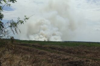 Lahan di Kabupaten Hulu Sungai Selatan, Provinsi Kalimantan Selatan pada Senin (17/7) kebakaran. Lokasi lahan terbakar berada di Desa Bajayu Barat, Kecamatan Daha Barat. Foto: Badan Nasional Penanggulangan Bencana (BNPB)