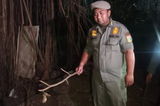 Aparat Satuan Polisi Pamong Praja (Satpol PP) Jakarta Timur mendapati pelumas hingga alat kontrasepsi bekas di sekeliling pohon beringin berdiameter lebih dari satu meter, dan sekitar pepohonan pisang di bagian sudut belakang Hutan Kota UKI Cawang dekat Tol Jagorawi, Selasa (25/7) malam. Foto: Ist