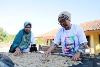 Dalam proses pembuatan kerupuk tradisional banyu pindang di Desa Wangun Harja, Kecamatan Jamblang, Kabupaten Cirebon, Jawa Barat, kerupuk terlebih dahulu dijemur sebelum digoreng dan dikemas. Foto: Ganjar Sejati