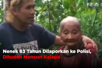 Nenek 83 Tahun Dilaporkan ke Polisi, Dituduh Mencuri Kelapa
