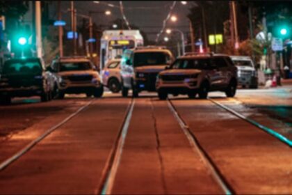 Screenshot 1 1