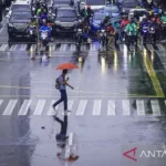 Seorang pekerja menggunakan payung untuk menghindari hujan saat menyeberangi jalan di kawasan Jalan MH Thamrin, Jakarta. (ANTARA)