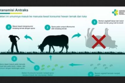 Sejak tanggal 18 hingga 26 Mei 2023 terjadi kematian mendadak pada sejumlah hewan ternak berupa sapi dan kambing milik warga Dukuh Jati. Hewan ternak yang mati itu lalu dipotong dan dibagikan ke warga untuk dikonsumsi.