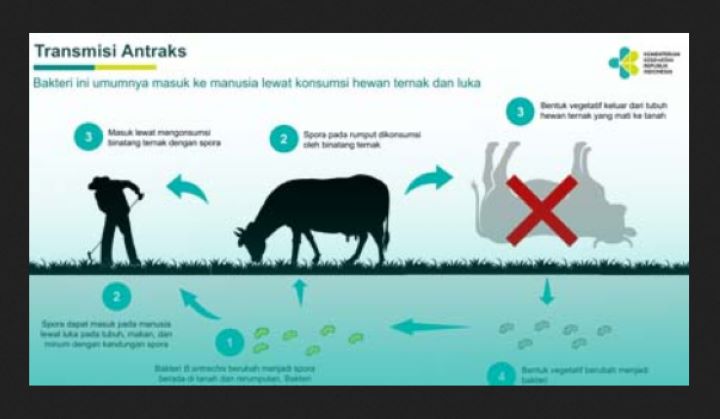 Sejak tanggal 18 hingga 26 Mei 2023 terjadi kematian mendadak pada sejumlah hewan ternak berupa sapi dan kambing milik warga Dukuh Jati. Hewan ternak yang mati itu lalu dipotong dan dibagikan ke warga untuk dikonsumsi.