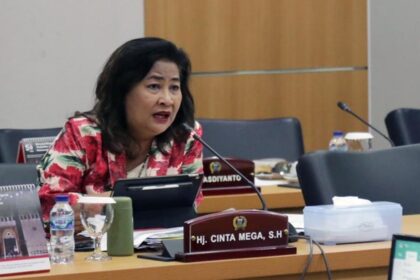 cinta mega