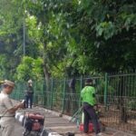 Sudin Taman Hutan Jakarta Timur memasang pagar pada bagian-bagian besi yang hilang di Hutan Kota UKI Cawang, Kebon Pala, Makasar, Rabu (26/7) siang. Foto: Ist