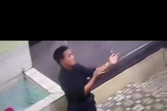 Pencuri HP di Masjid Agung Bangil jelas terekam CCTV, Foto: Instagram @terang_media