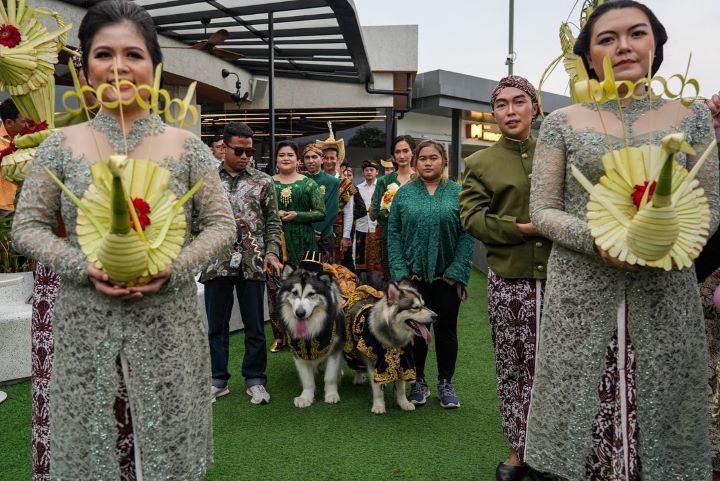 Viral pernikahan anjing Jojo dan Luna habiskan dana Rp200 juta, Foto : Instagram @j6Family