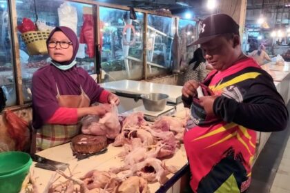 Pedagang di Pasar Cibubur, Ciracas, Jakarta Timur, Nurhayah dan pedagang daging ayam lainnya mengeluhkan adanya kenaikan harga ayam per ekor, Selasa (11/7). Foto: Ist