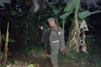 Aparat Satuan Polisi Pamong Praja (Satpol PP) Jakarta Timur saat menyisir mendapati pelumas hingga alat kontrasepsi bekas di Hutan Kota Cawang UKI, Kebon Pala, Makasar. Foto: Ist