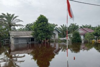 Banjir melanda Pesisir Selatan, Provinsi Sumatra Barat sejak Senin (14/8) hingga Rabu (16/8) ini. Foto: Badan Nasional Penanggulangan Bencana (BNPB)