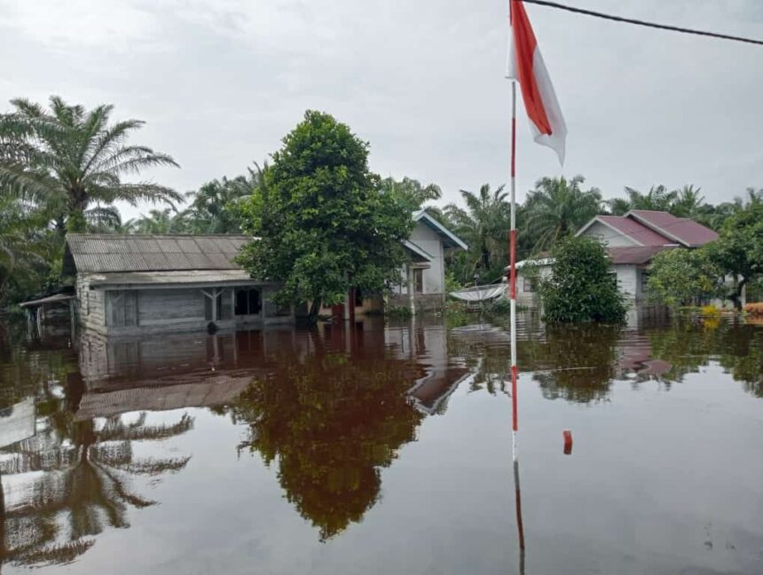 Banjir melanda Pesisir Selatan, Provinsi Sumatra Barat sejak Senin (14/8) hingga Rabu (16/8) ini. Foto: Badan Nasional Penanggulangan Bencana (BNPB)