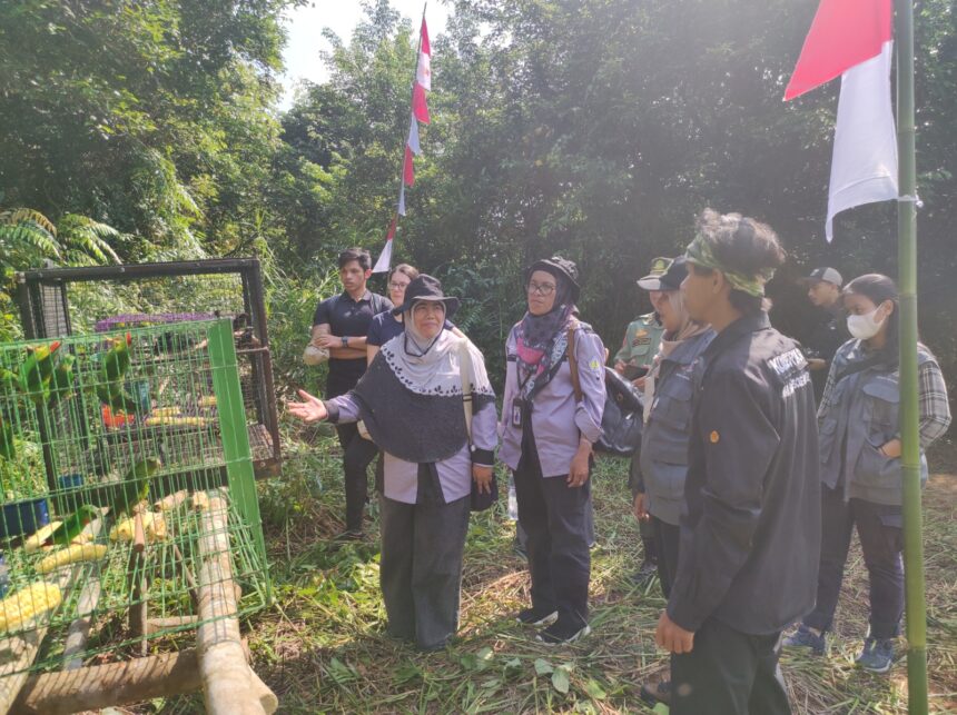 BKSDA Kalimantan Barat melepasliarkan satwa dilindungi dan tidak dilindungi, di antaranya 20 burung Madu Bakau.