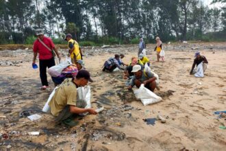 Tim konservasi flora dan fauna Tambling Wildlife Nature Conservation (TWNC) di Lampung membersihkan ceceran minyak mentah (oil spill) di Pantai Kendirian, Sleman, Way Tinggal, dan Penipahan di Provinsi Lampung.