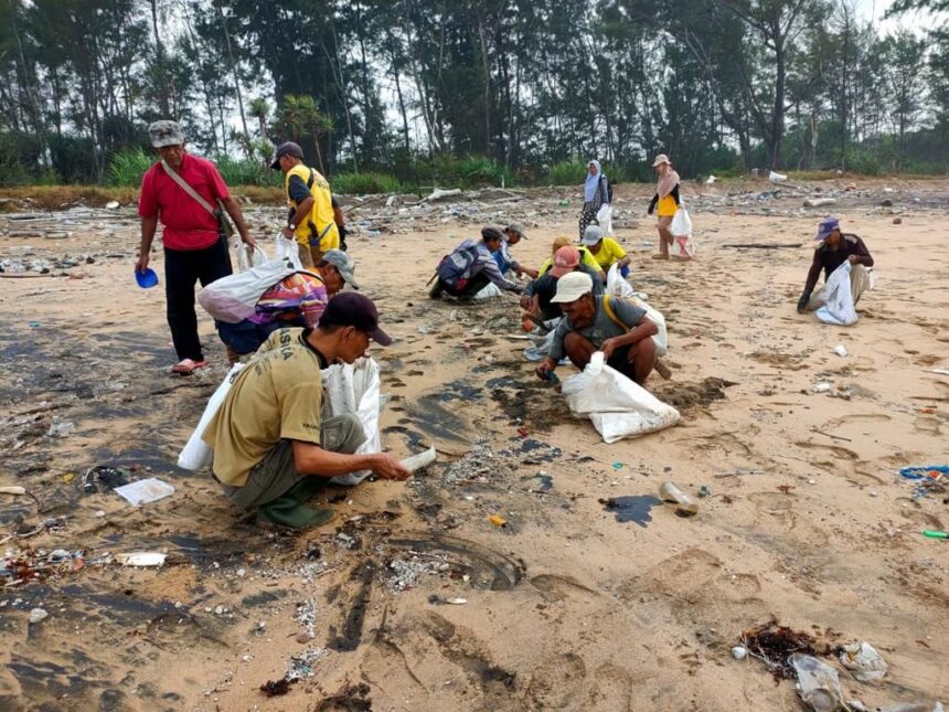 Tim konservasi flora dan fauna Tambling Wildlife Nature Conservation (TWNC) di Lampung membersihkan ceceran minyak mentah (oil spill) di Pantai Kendirian, Sleman, Way Tinggal, dan Penipahan di Provinsi Lampung.