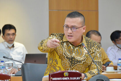 Hardiyanto Kenneth