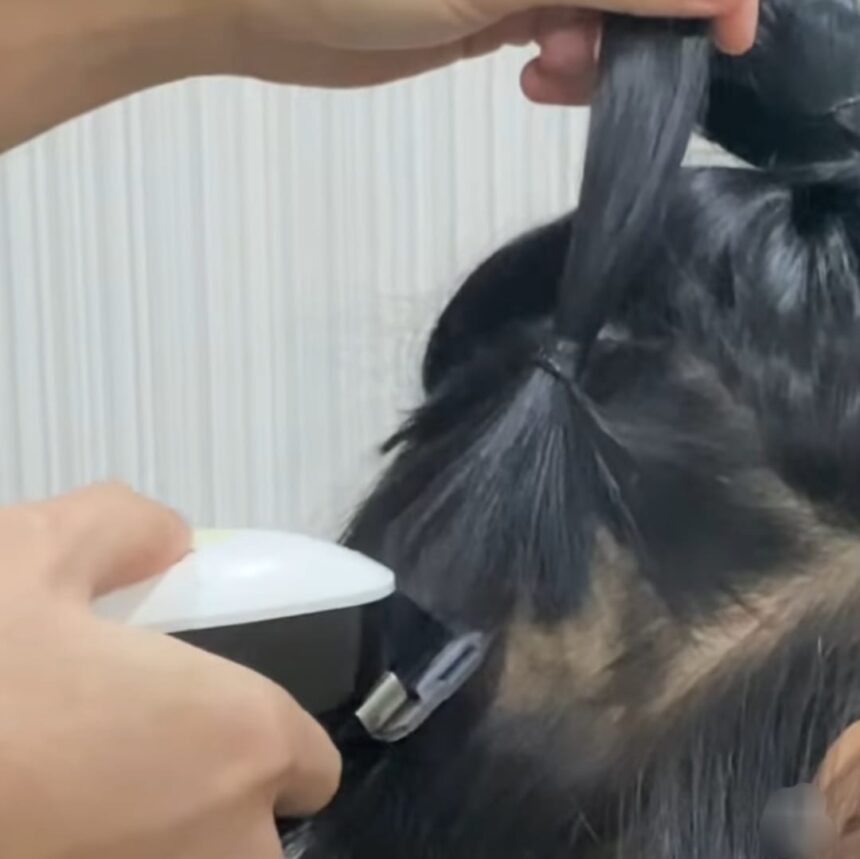 Drama Baru, Lucinta Luna Unggah Video Pangkas Sebagian Rambut Sampai ...