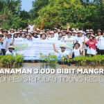 Mangrovejkt.id dan PT Cikarang Listrindo melakukan penanaman 3.000 bibit Mangrove di Pulau Tidung Kecil, Sabtu (29/7) lalu. (Alidrian Fahwi/ipol.id)