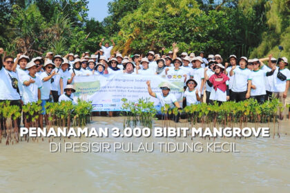 Mangrovejkt.id dan PT Cikarang Listrindo melakukan penanaman 3.000 bibit Mangrove di Pulau Tidung Kecil, Sabtu (29/7) lalu. (Alidrian Fahwi/ipol.id)