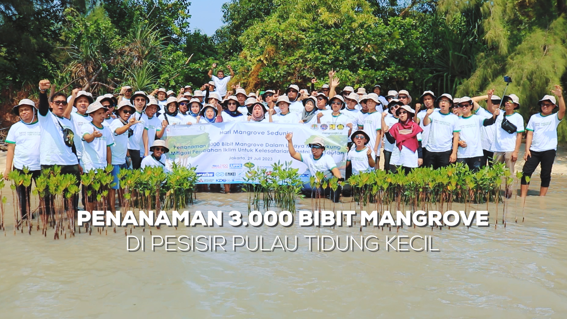 Penanaman Bibit Mangrove Di Pesisir Pulau Tidung Kecil Ipol Id