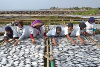 Ibu-Ibu warga di Kampung Lelang Baru, Desa Panimbang, Kecamatan Panimbang, Kabupaten Pandeglang, Banten, mengolah ikan asin, Senin (21/8). Foto: Komunitas Nelayan Pesisir