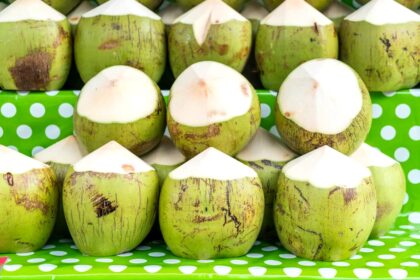 kelapa