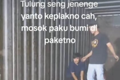 paku