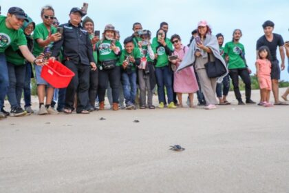 Komunitas Ojek Online (Kajol) Indonesia dukung Ganjar dan ojol lainnya menyaksikan pelepasan tukik atau anak penyu yang baru saja menetas ke laut Pangumbahan, Sukabumi, Jawa Barat, Selasa (22/8) siang. Foto: Kajol