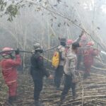 Sejumlah petugas gabungan berupaya memadamkan api yang melumat hutan dan lahan di wilayah Kecamatan Pedamaran, Pampangan dan Pangkalan Lampam, Kabupaten Ogan Komering Ilir (OKI), Sumatera Selatan, pada Minggu (17/9). Foto: Badan Nasional Penanggulangan Bencana (BNPB)