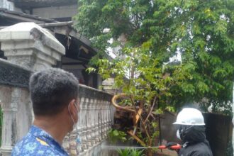 Petugas Pembasmi Organisme Pengganggu Tanaman (POPT) melakukan penyemprotan di rumah warga yang diserang hama ulat bulu di Jalan Dewa, RT 02/RW 02, Kelurahan Ciracas, Kecamatan Ciracas, Jakarta Timur, Selasa (19/9). Foto: Ist