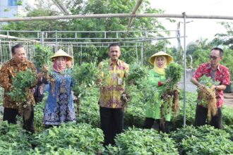 Wali Kota Jakarta Timur, Muhammad Anwar bersama Ketua Tim Penggerak Pemberdayaan Kesejahteraan Keluarga Kota Administrasi Jakarta Timur, Diah Anwar, dan Wakil Walikota Jakarta Timur, Iin Mutmainnah saat panen raya urban farming atau pertanian kota di Rooftop Gedung Parkir Kantor Walikota, Kamis (21/9). Foto: Ist