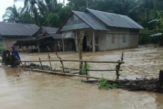 Suasana kondisi banjir melanda Desa Bambarimi, Kecamatan Banawa Selatan, Sulawesi Tengah, sejak Rabu (20/9) hingga kini banjir berangsur surut. Foto: BPBD Provinsi Sulawesi Tengah