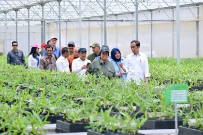 Tinjau Persemaian Mentawir Presiden Ini Komitmen Kita pada Lingkungan 2048x1365 1